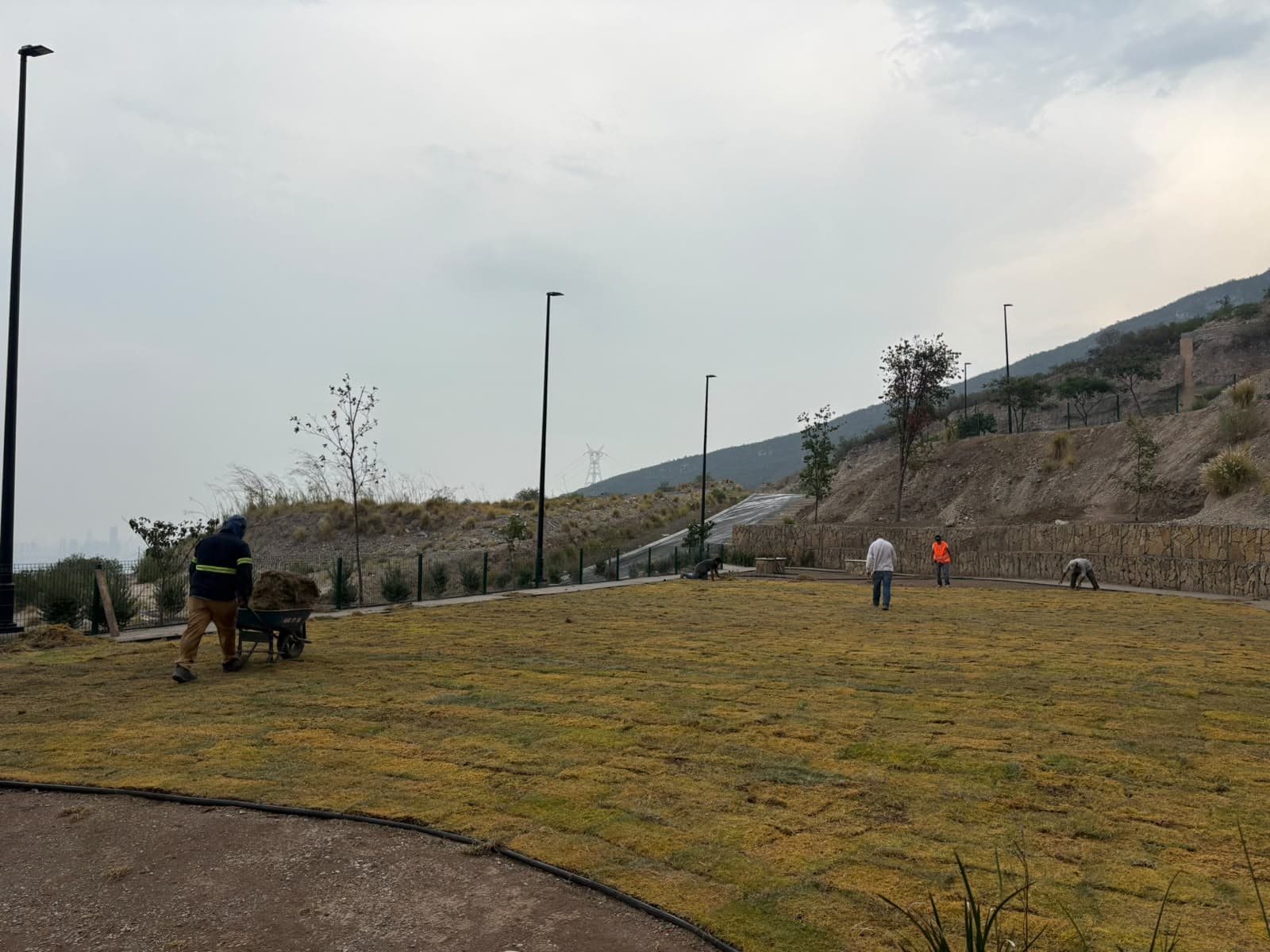 Pasto Natural